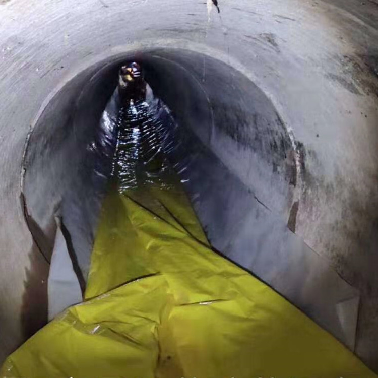 津南管道光固化修复